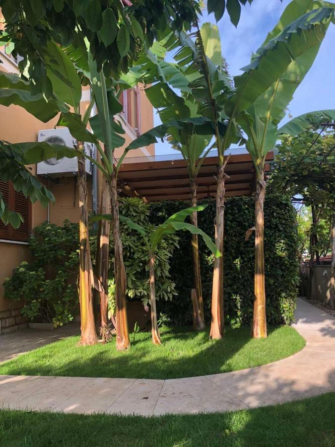 Villa Dolores โรวีน ภายนอก รูปภาพ